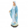 Statua Madonna Miracolosa in resina colorata 30 cm