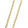 Gold chain 60cm, Forçat link
