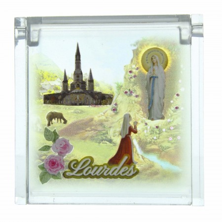 Lourdes plexiglass rosary case