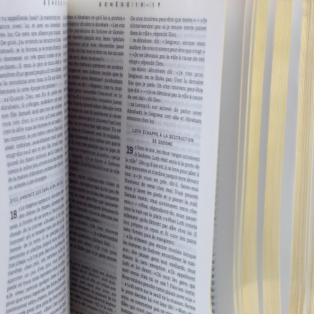 Nuova Bibbia francese con note 19 cm