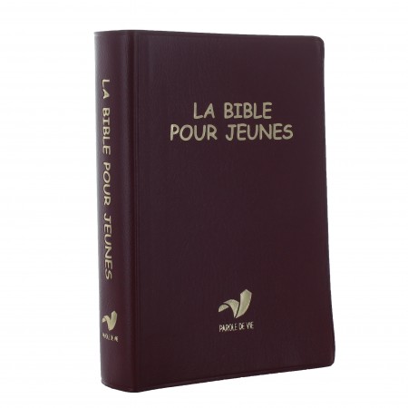 Bible pour jeunes 17 cm