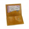 Portefeuille de Lourdes Simple