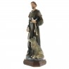 Statua in resina di San Francesco d'Assisi di 30 cm