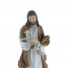 Statua di Gesù Buon Pastore da 20 cm in resina colorata