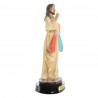 20cm resin statue of Merciful Jesus
