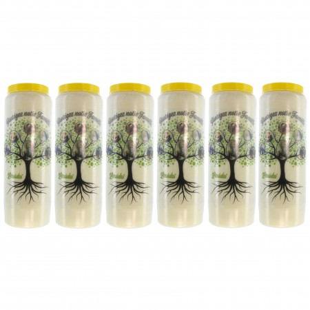 Set of 6 Novena candles Tree of Life protector 17,5cm