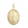 Gold-plated medallion Miraculous Lady and strass sides