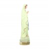 Statua luminosa di Nostra Signora di Lourdes da 20 cm.
