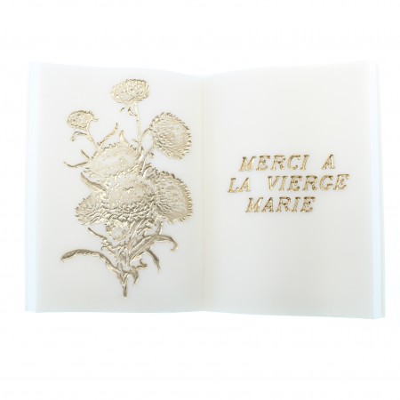 Libro di resina "Grazie...