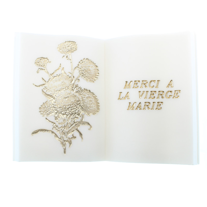 Tampon Ex Libris Personnalisable - Motif Chat, 49 Designs Au Choix - Laiton, Pour Marquer Vos Livres