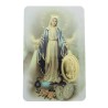 Miraculous Virgin prayer card