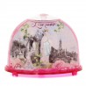 Apparition and roses snow globe