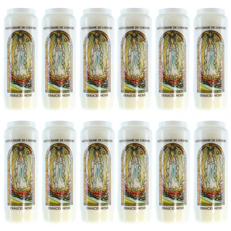 Set of 12 Novenas of Our Lady of Lourdes with prayers on the back