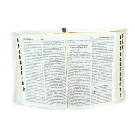 The Holy Bible - Large print