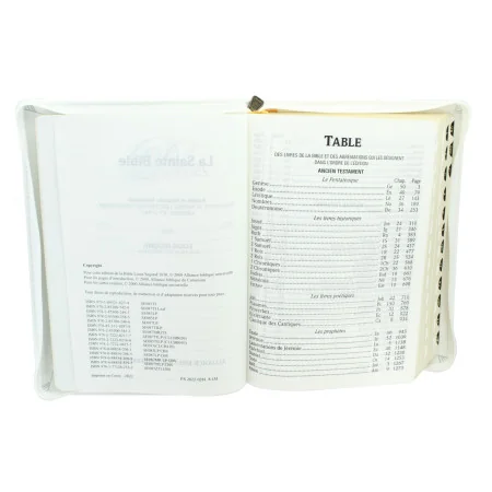 The Holy Bible - Large print