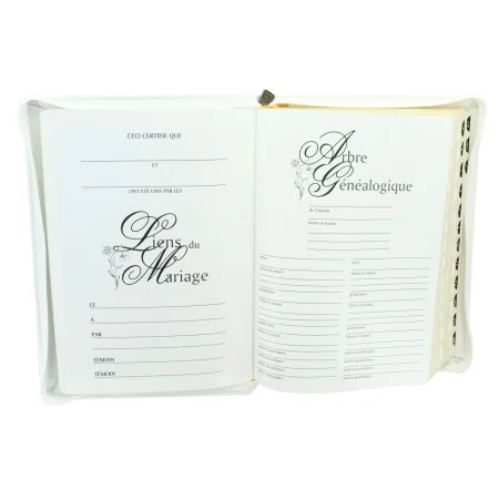 The Holy Bible - Large print