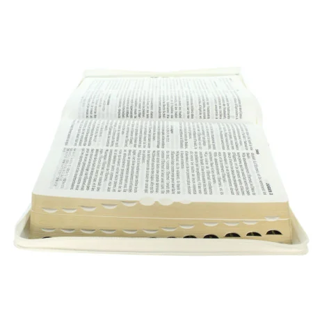 The Holy Bible - Large print