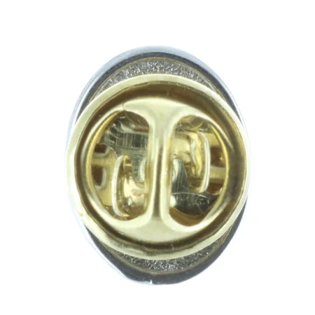 Lot de 50 Pin's Apparition de Lourdes