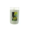 Set of 20 3-day devotional candle Apparition of Lourdes