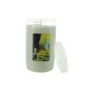 Set of 20 3-day devotional candle Apparition of Lourdes