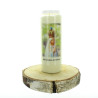Set di 6 candele Novena Nostra Signora di Fatima - 17,5cm