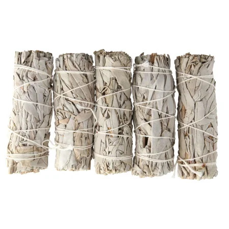 Set di 5 bastoncini di salvia bianca