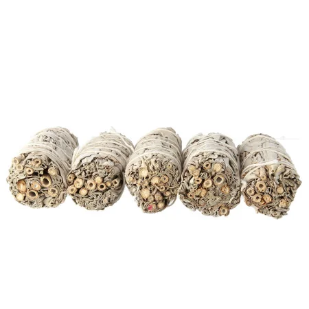 Set di 5 bastoncini di salvia bianca