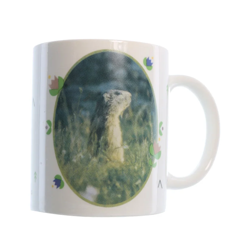 Decorative mug of Lourdes and its surroundings