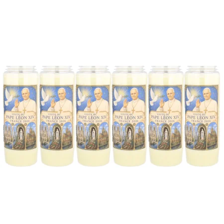 copy of Set of 6 Pope Leo...
