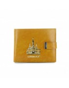 Bag and small leather goods of Lourdes