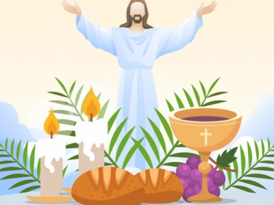 La vigne et le vin dans la Bible